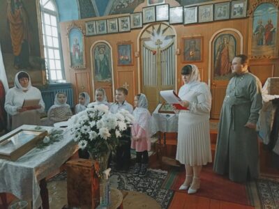 В храме Святых Апостолов Петра и Павла села Погромец прошел Рождественский утренник «Свет Рождественской звезды»
